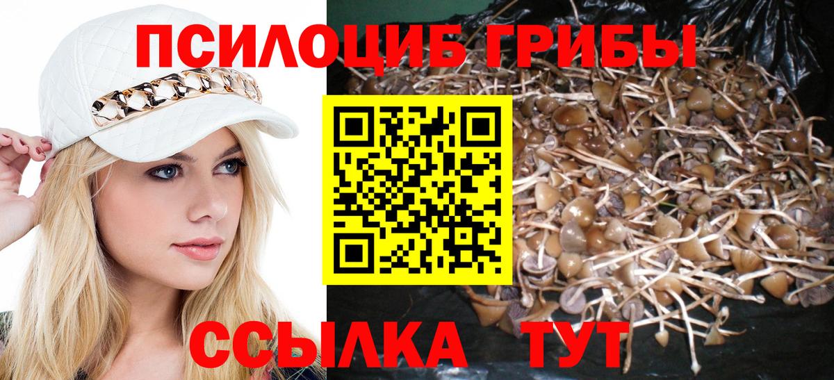 Псилоцибиновые грибы ЛСД Мценск